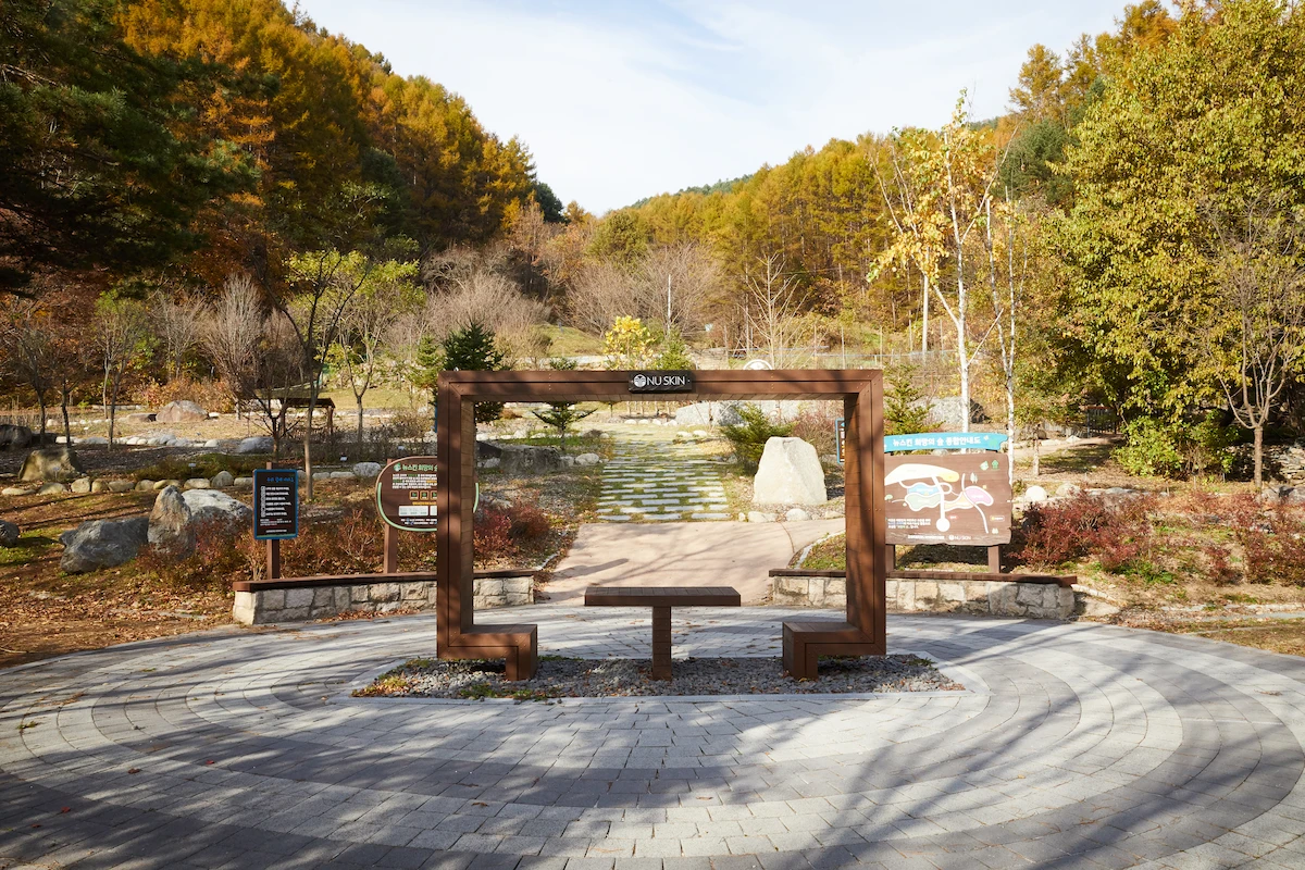 뉴스킨 희망의 숲